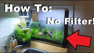 How To 10 Gallon  No Filter No Heater No Ferts No co2 [upl. by Uyr371]