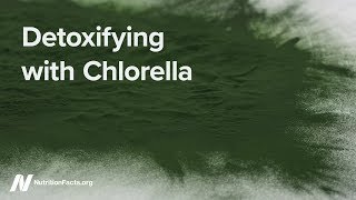 Detoxifying with Chlorella [upl. by Anuaik880]