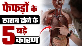 फेफड़ों के ख़राब होने के 5 बड़े कारण  Lung Infection Symptoms in hindi  Health Tips For You [upl. by Ilsa]