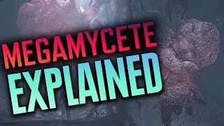 Megamycete  Mold EXPLAINED ALL Hidden Lore  Resident Evil Village [upl. by Akenahc272]