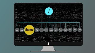 05 Linux Root Folders Explained [upl. by Yelak424]