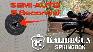 KalibrGun Springbok SemiAuto Airgun Review [upl. by Remliw557]