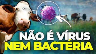 MAL DA VACA LOUCA A Doença INSANA que Parou o Brasil [upl. by Ahseenat506]