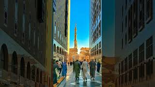 Ya taiba beautiful shotrs taiba love explore madina makka youtubeshorts babyotaku animeart [upl. by Storfer]