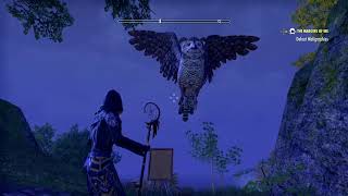 eso ask mr owl [upl. by Remus749]