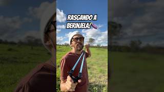 QUAL BALADEIRA DETONA A BERINJELA🍆 humor comedia desafio [upl. by Lerak231]