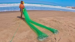 MIRA‼️ La técnica que usan estos hombres para PESCAR en playa de arena no creerás lo que atraparon [upl. by Neuburger]