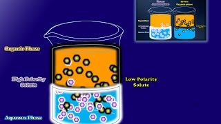 Partitioning Between Liquid Phases [upl. by Mannes]