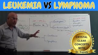 Difference Between Leukemia vs Lymphoma🩺 [upl. by Eilatam531]