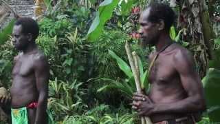 “Planem Navota” Ceremony at Fanafo Indigenous Kastom Day 2014 Espiritu Santo Vanuatu [upl. by Llesig]