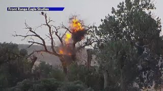 Lightning strike hits bald eagle nest in Boulder County [upl. by Tecil412]