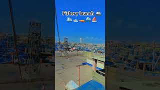 Fishery launch fypシ゚viral my youtubchannelsubscribe viralshorts viralvideo [upl. by Naida]