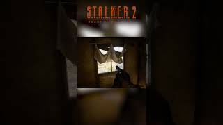 😂 Stalker 2 Developers Added This To Make Fun Of Us stalker2 [upl. by Reinwald]