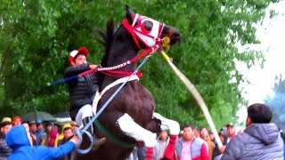 El Magia Negra  Sebastián Almendras quotEl Cuarto De Millaquot Corridos De Caballos [upl. by Yahc]