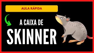 A CAIXA DE SKINNER  Resumo sobre o experimento de B F Skinner Behaviorismo  Psicologia [upl. by Erotavlas920]