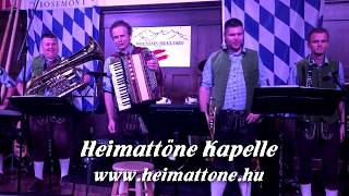 Heimattöne Kapelle  Rosamunde Polka Sváb zenekar sramli együttes Oktoberfest Volksmusik bajor [upl. by Itsrik]