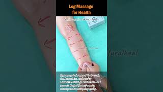 Leg Massage for Health legmassage sorenessrelief leghealth fatiguereduction legpain [upl. by Atokad]