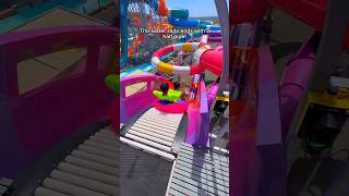 Half pipe water slide at Wild Rivers Waterpark shorts [upl. by Jenifer]