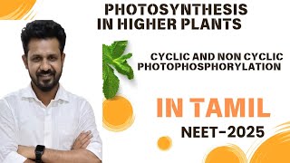 cyclic and non cyclic photophosphorylation in tamil  photosynthesis in higherplants NEET 2025 [upl. by Anuqahs]