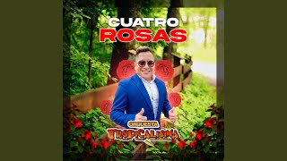 Cuatro Rosas [upl. by Kelwunn]