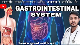 The Gastrointestinal system  the overview of GI tract organs and their work [upl. by Hniv182]