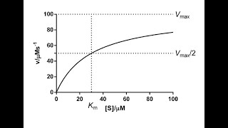 Enzyme kinetic michaelis menten and lineweaver burk plot بالعربي [upl. by Noicpecnoc]