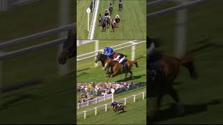 Kyprioss Gold Cup Finish From All Angles [upl. by Nahsaj]