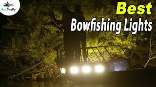 Best Bowfishing Lights In 2020 – Picked After Comparison With Best Products [upl. by Service956]