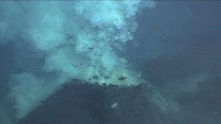 Underwater Vents and Volcanoes [upl. by Eetnom]