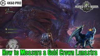 Monster Hunter World  How to Measure a Gold Crown Lunastra Wildspire Waste [upl. by Noraha]