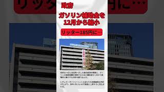 ガソリン補助金12月から縮小、185円になる見込み 補助金 自民党 トリガー条項 [upl. by Tannen]