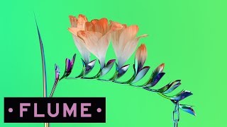 Flume  v [upl. by Galasyn311]