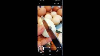 Boiling organic eggs🥚🥚🥚🥚 healthytrending [upl. by Eitsyrk179]