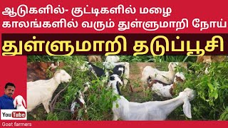 ஆடுகளில் துள்ளுமாரி நோய் [upl. by Arataj]