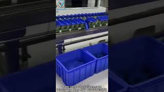 VERFOODSOLUTIONS Sea Cucumber Weight Grading Machine Test Before Delivery for the USA Customer [upl. by Namad]