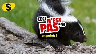 Ceci nest pas un putois 93 [upl. by Ggerc]