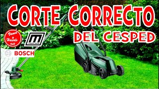 ☘️ CORTE CORRECTO DEL CESPED ☘️ [upl. by Busey]