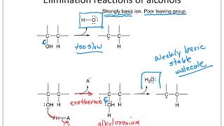 Dehydration of 2methylcyclohexanol and GC analysis [upl. by Ekihc48]