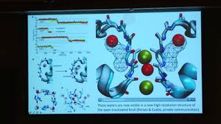 Plenary quotComputational Biophysics in the Petascale Computing Eraquot  Rommie E Amaro UC San Diego [upl. by Poole123]