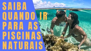 PISCINAS NATURAIS E TÁBUA DAS MARÉS QUANDO IR ÀS PRAIAS DE MARAGOGI E PORTO DE GALINHAS [upl. by Trueblood550]