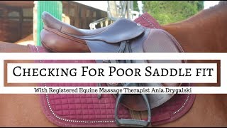 Bodily Repercussions of Poor Saddle Fit [upl. by Affer381]