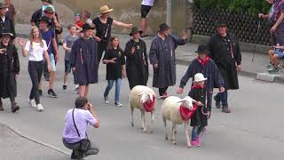 Schäferlauf Wildberg Festzug 2018 [upl. by Mcguire]