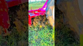 TRACTOR ROTAVETOR trending viralshort youtube upload short🌾🌾🌾 [upl. by Brodeur]