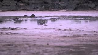 Utahs Spiral Jetty  An artists work on natures canvas [upl. by Damien586]