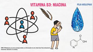 VITAMINA B3 NIACINA  QUÉ ES Y PARA QUÉ SIRVE [upl. by Adnesor791]