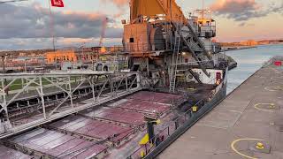 Great Lakes Freighter Saginaw at the Soo Locks [upl. by Preciosa]