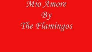 Mio Amore By The Flamingos [upl. by Mateya183]