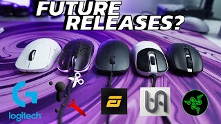 What does the future hold for EGG Xtrfy RAZER Logitech and VAXEE [upl. by Isac724]