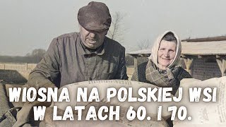 Polska Wieś ☘️ Wiosenne prace polowe w latach 60 i 70 XX wieku [upl. by Eniarda]