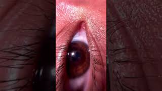 Eye in macro veiw viralshort ytshorts shortvideo [upl. by Melisa938]